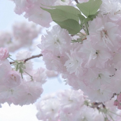 镇江福瑞交流群